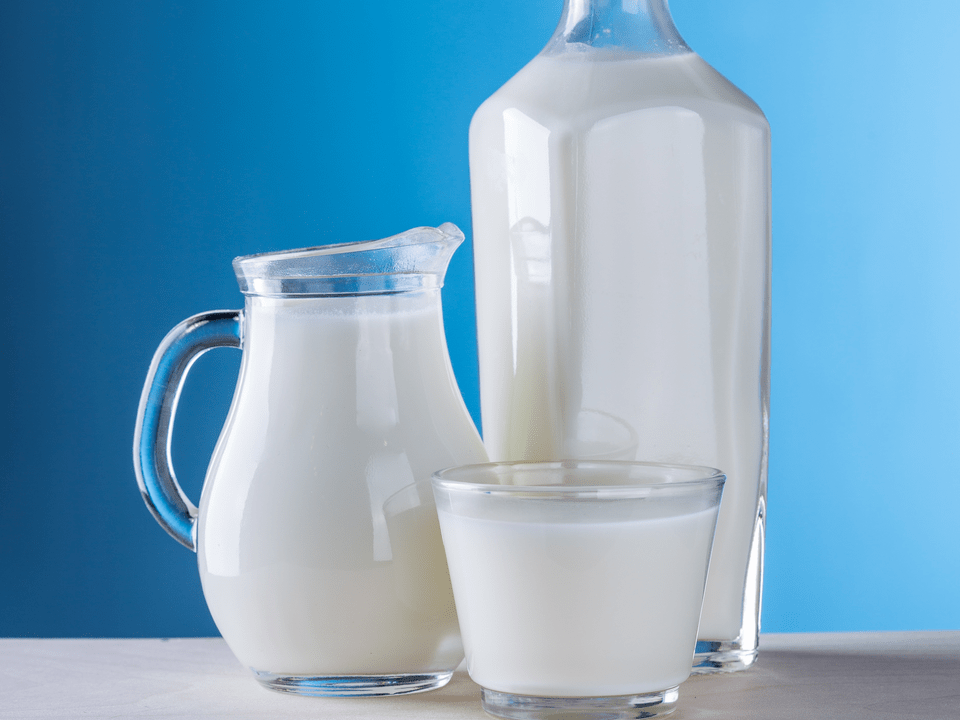 млечните производи се основата на диетата со кефир